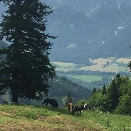 Appartement Wengerwirt Zur Laube