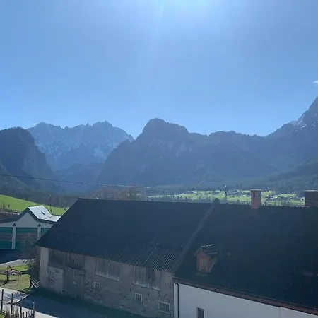 Wengerwirt Zur Laube Weng im Gesause