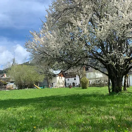 Wengerwirt Zur Laube * Weng im Gesause