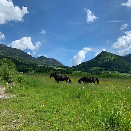 Wengerwirt Zur Laube